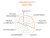 Agile analysis.png