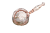 Copper Plated Luxury Skull Cocktail Strainer (1).png
