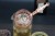 Copper Plated Luxury Skull Cocktail Strainer (3).jpg