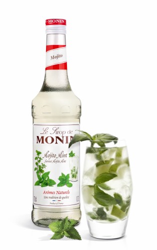 Mojito Mint _ Drink 271-HD.jpg
