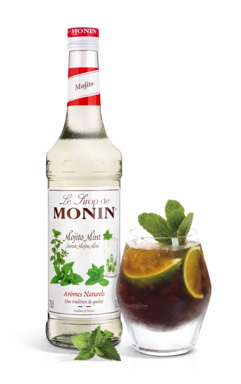 Mojito Mint _ Drink 790-HD.jpg