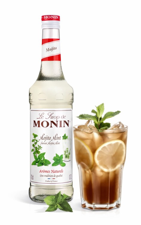 Mojito Mint _ Drink 1069-HD.jpg