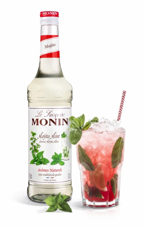 Mojito Mint _ Drink 1221-HD.jpg