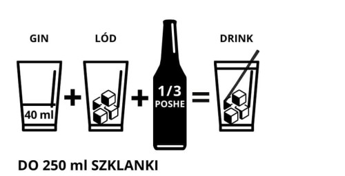 Gin - instrukcja.jpg