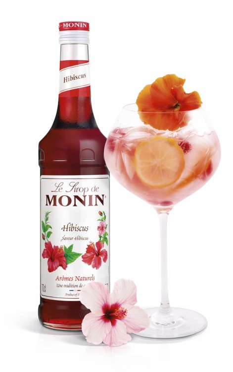 Hibiscus _ Drink 544-HD.jpg