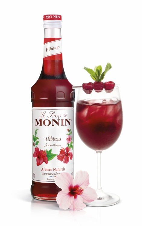 Hibiscus _ Drink 489-HD.jpg