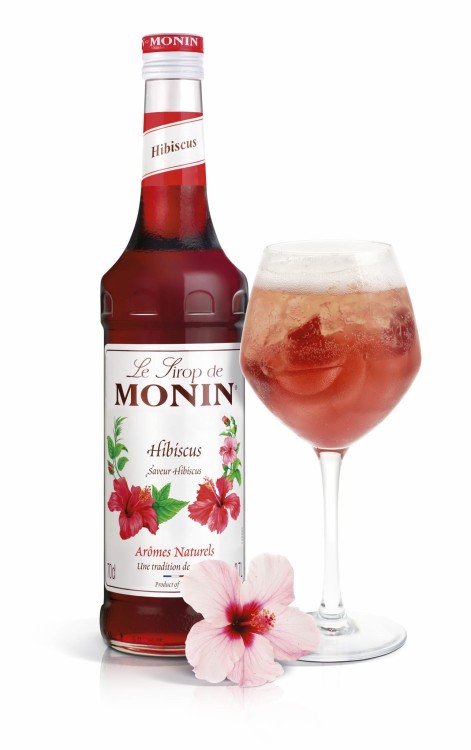 Hibiscus _ Drink 452-HD.jpg