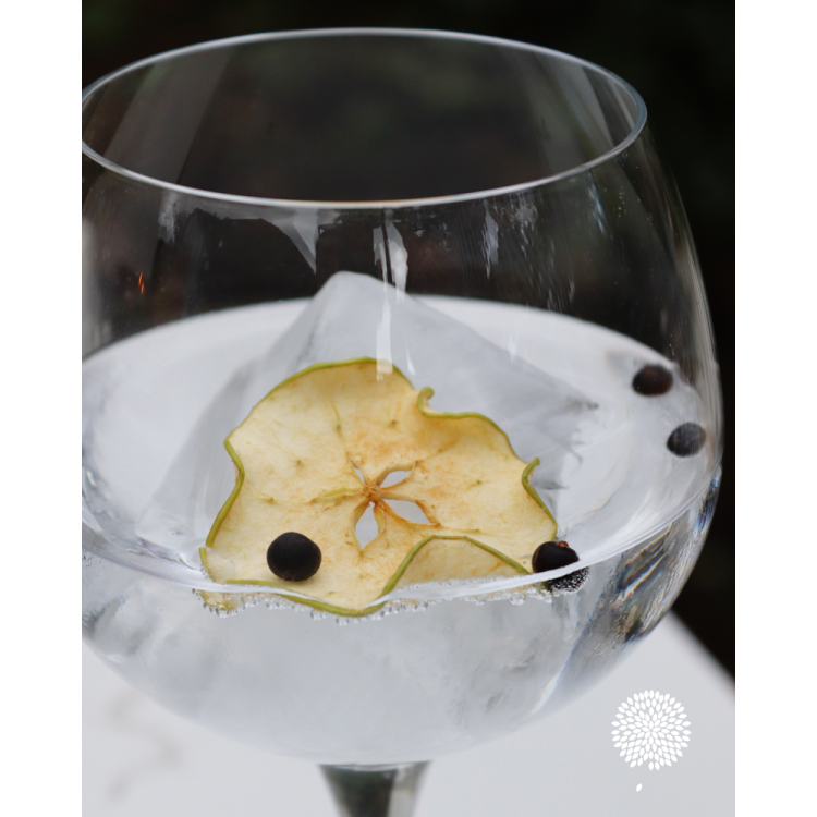 dehydrated apple context.jpg