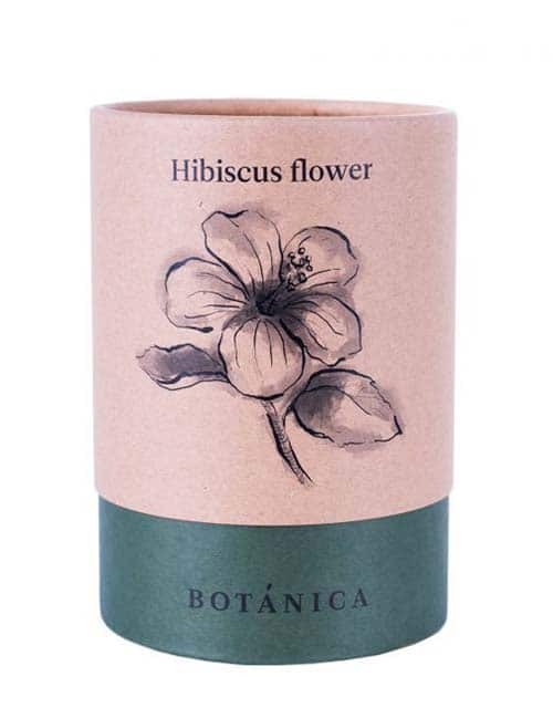 hibiscus flower - puszka.jpg