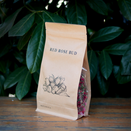 red rose bud - side (1).jpg