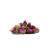 botanica roza ruza zacin.jpg