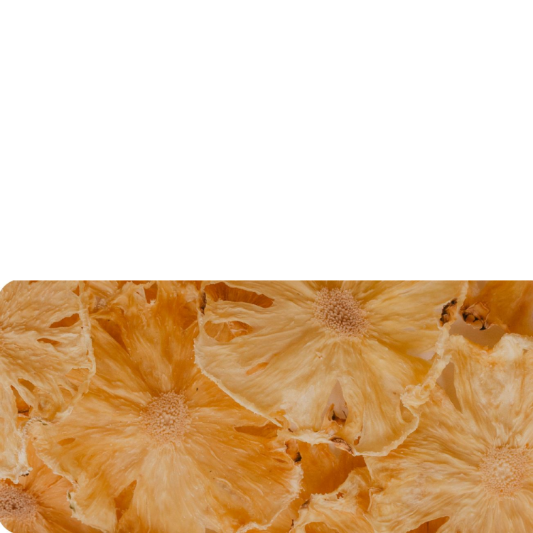 Pineapple slices.JPG