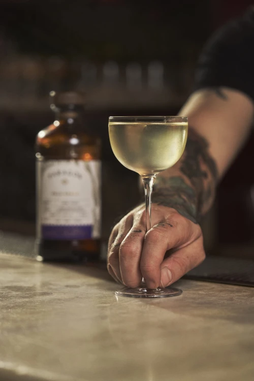 Paragon action shoots_05.jpg