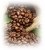 Lavazza-Expert-Gusto-Forte-Kawa-Ziarnista-100-Robusta-Ziarno-Ekspres-1kg-Waga-1000-g.jpg