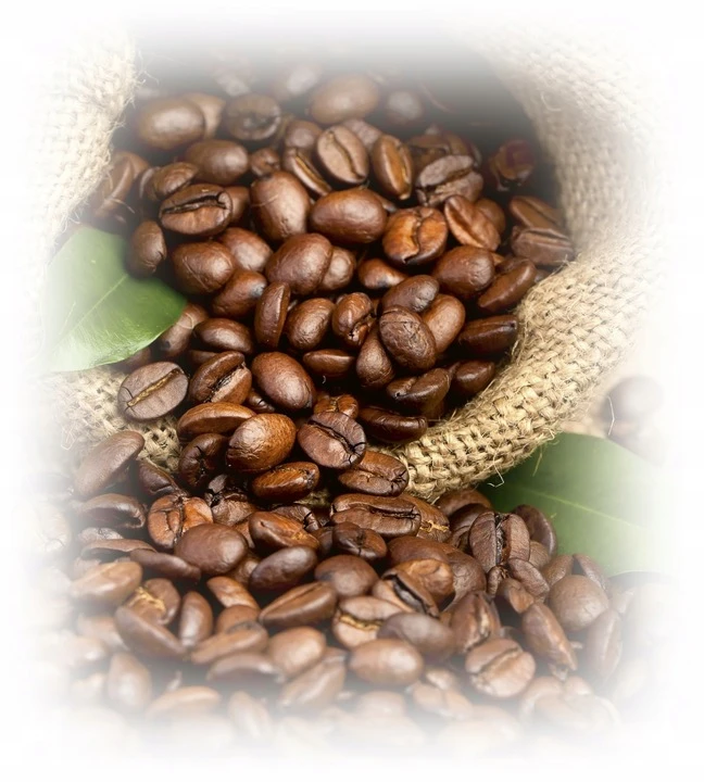 Lavazza-Expert-Gusto-Forte-Kawa-Ziarnista-100-Robusta-Ziarno-Ekspres-1kg-Waga-1000-g.jpg